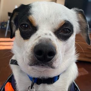 Meet your Posher, Tessa